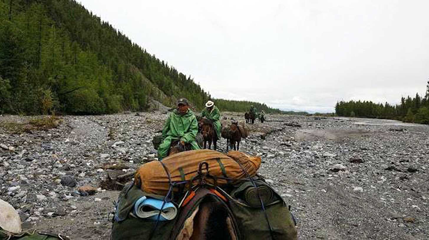 horse riding tour